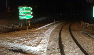 580839_10201206523861060_188113487_n